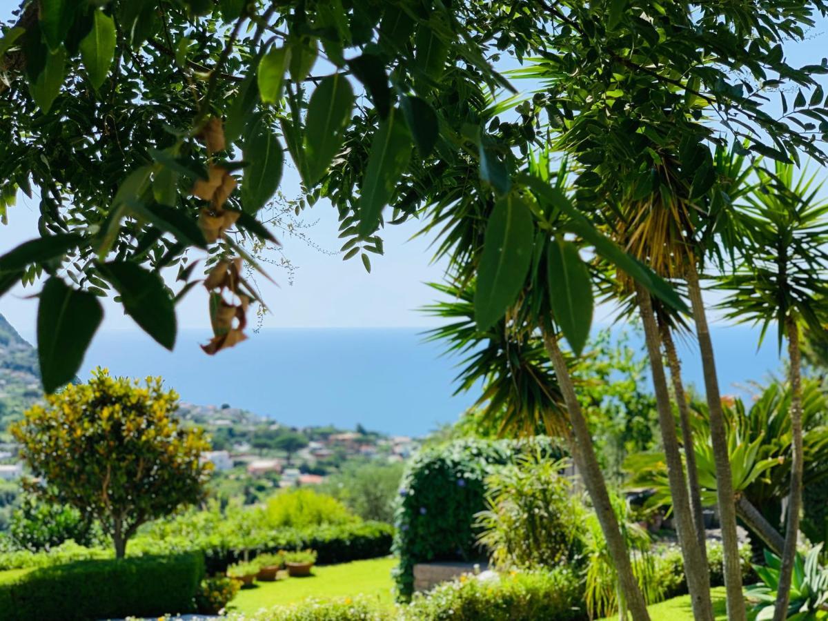 Casa Ischitana Lejlighed Forio di Ischia Eksteriør billede