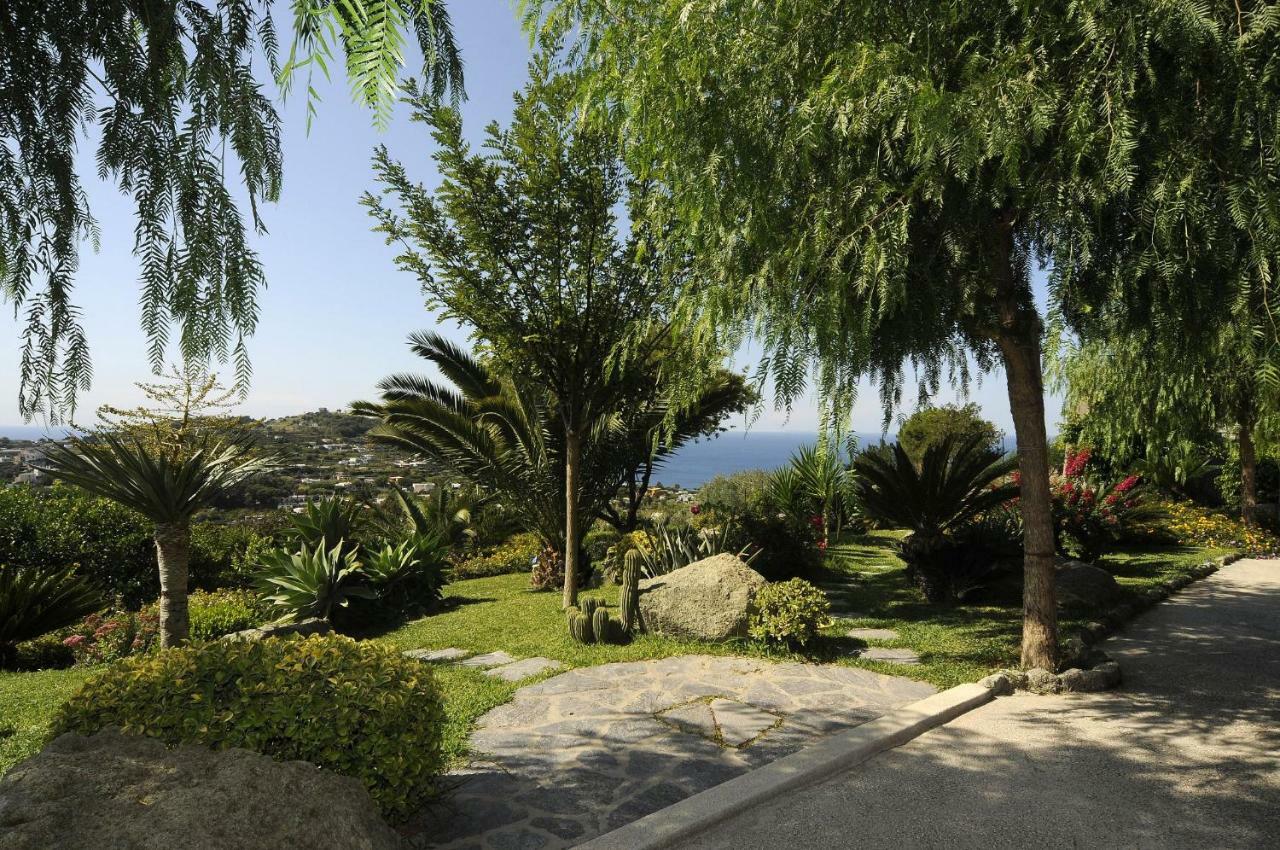 Casa Ischitana Lejlighed Forio di Ischia Eksteriør billede