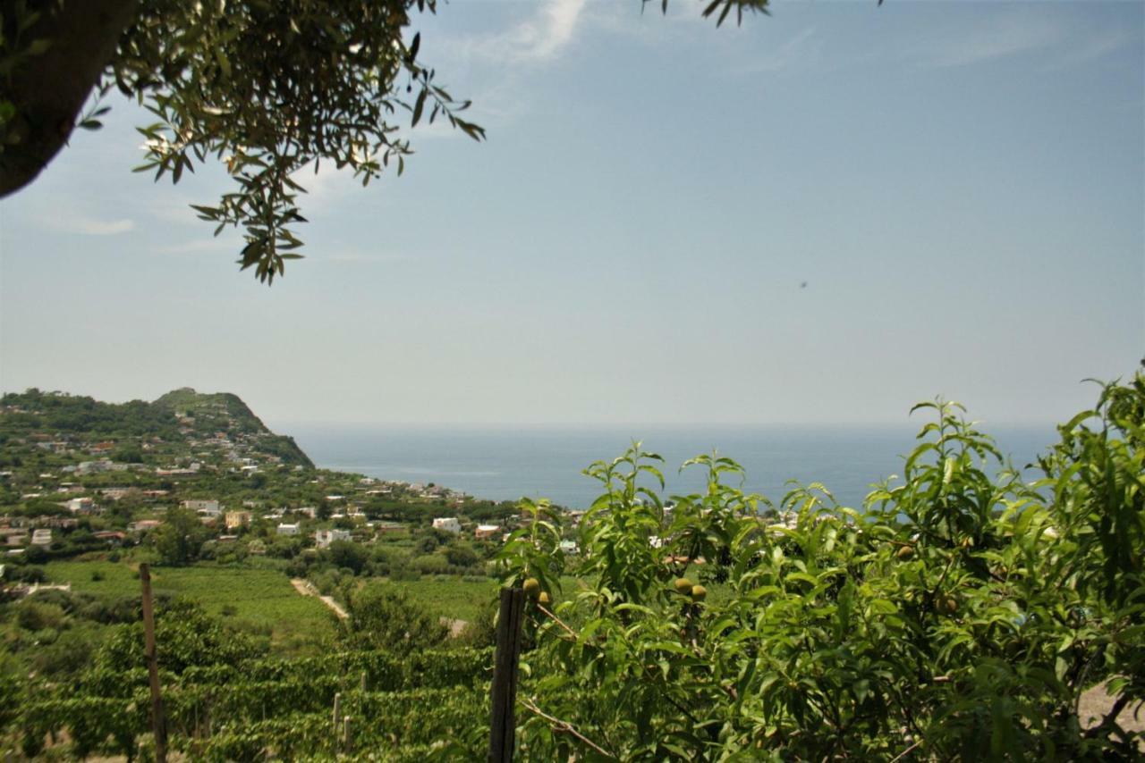 Casa Ischitana Lejlighed Forio di Ischia Eksteriør billede